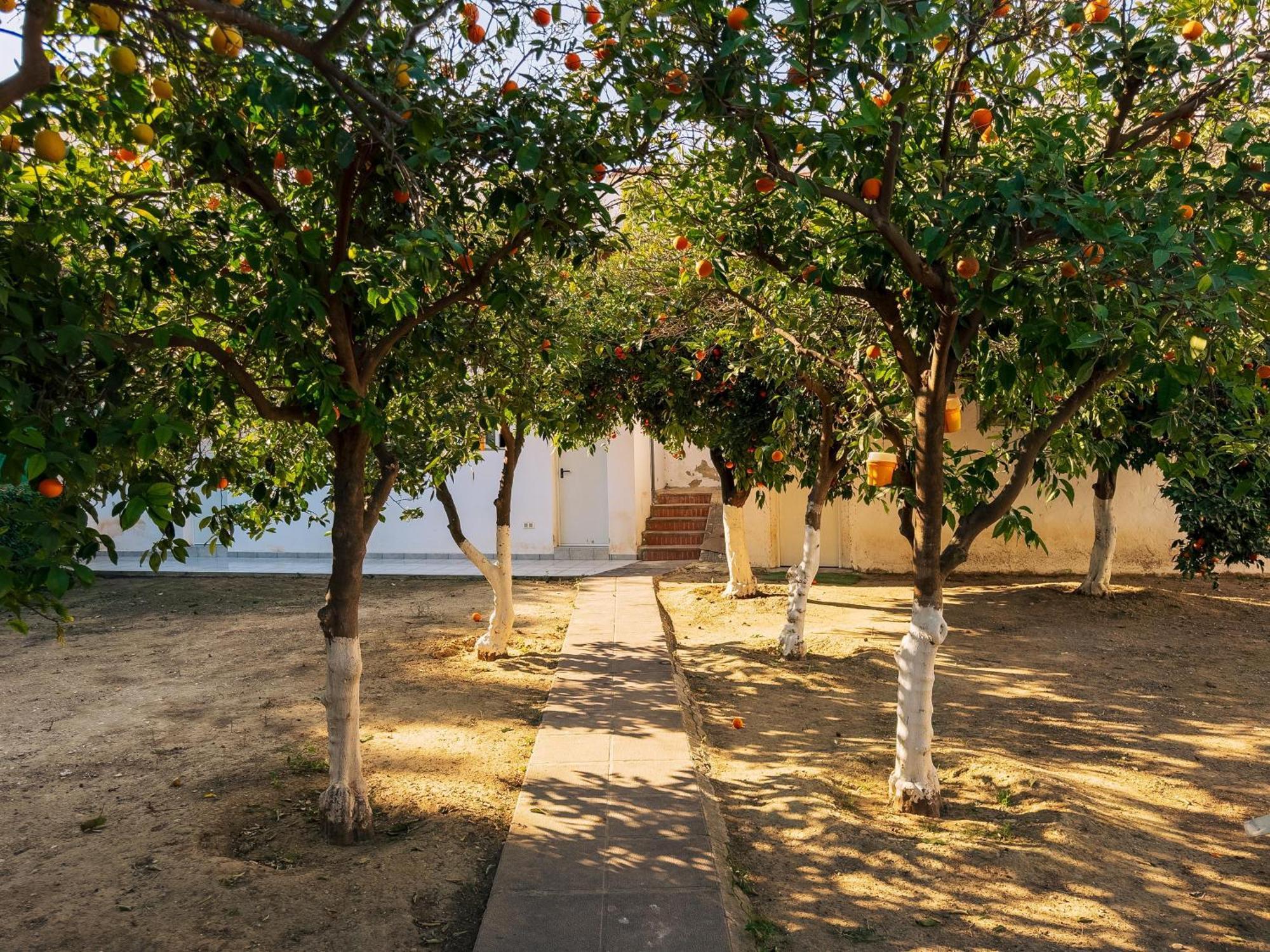 Charming Country House توريمولينوس المظهر الخارجي الصورة