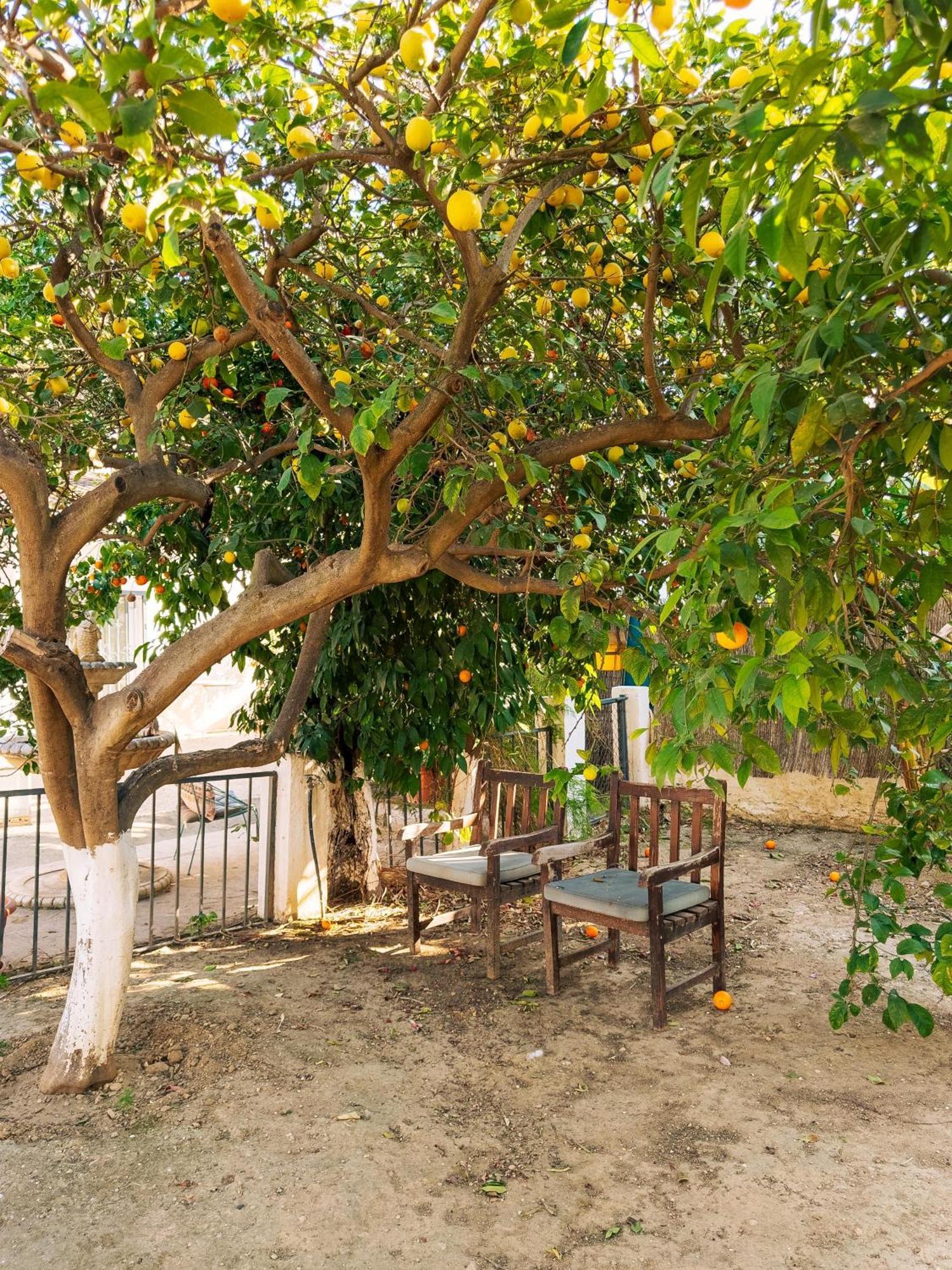 Charming Country House توريمولينوس المظهر الخارجي الصورة